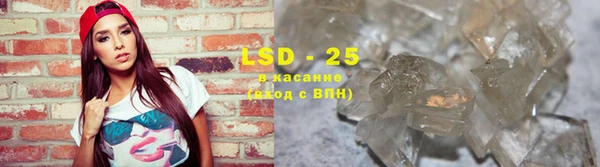 гашик Бородино