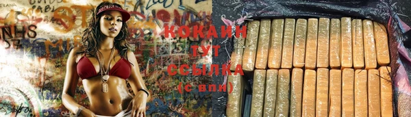 гидра Ладушкин