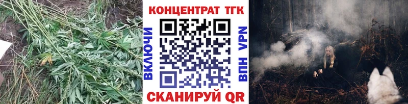 Дистиллят ТГК Wax  Мглин 
