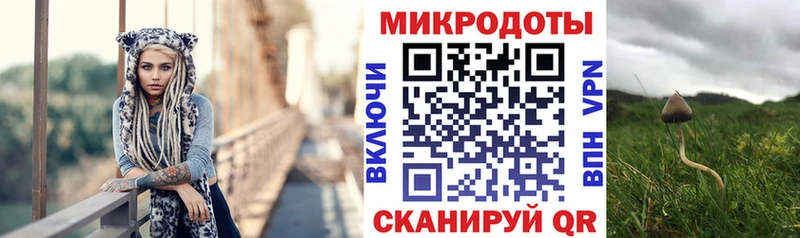Галлюциногенные грибы Magic Shrooms  Мглин 